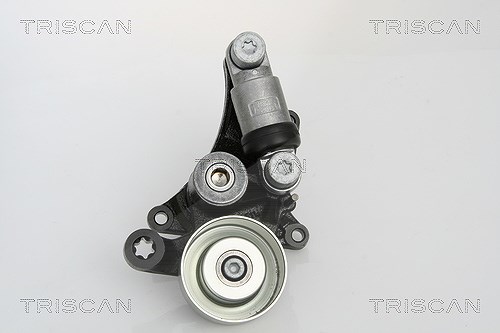 Triscan Spannarm, Keilrippenriemen [Hersteller-Nr. 8641233010] für Mercedes-Benz