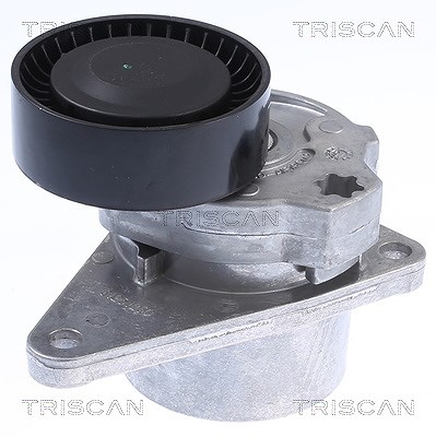 Triscan Spannarm, Keilrippenriemen [Hersteller-Nr. 8641103010] für Volvo