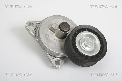 Triscan Spannarm, Keilrippenriemen [Hersteller-Nr. 8641163005] für Ford Usa, Ford, Mazda