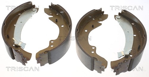 Triscan Bremsbackensatz [Hersteller-Nr. 810010573] für Peugeot, Citroën, Fiat
