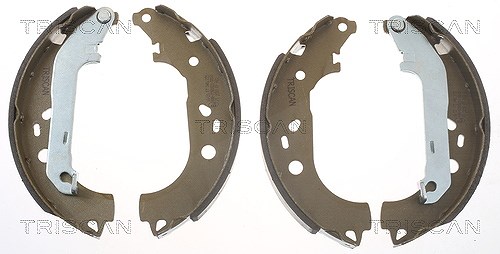 Triscan Bremsbackensatz [Hersteller-Nr. 810016011] für Ford