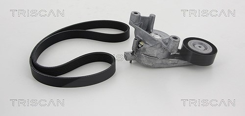 Triscan Keilrippenriemensatz [Hersteller-Nr. 864229002] für Skoda, Audi, VW, Seat