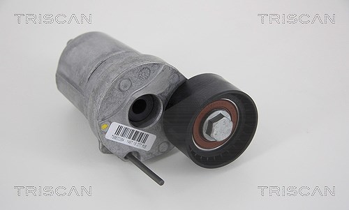 Triscan Spannarm, Keilrippenriemen [Hersteller-Nr. 8641113036] für BMW