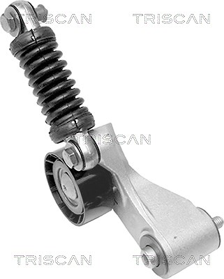 Triscan Riemenspanner, Keilrippenriemen [Hersteller-Nr. 8641103009] für Volvo, Mitsubishi, Renault