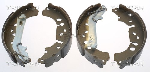Triscan Bremsbackensatz Trommelbremse [Hersteller-Nr. 810010012] für Vauxhall, Fiat, Opel
