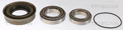 Triscan Radlagersatz [Hersteller-Nr. 853014114] für Ford, Nissan