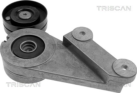 Triscan Spannarm, Keilrippenriemen [Hersteller-Nr. 8641103012] für Renault, Volvo