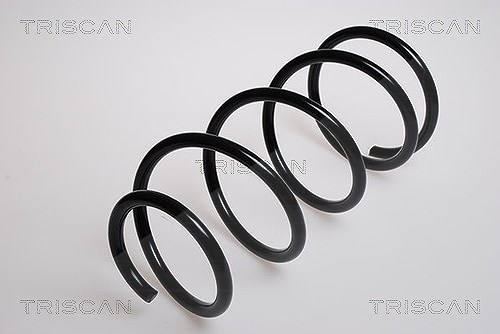 Triscan Fahrwerksfeder [Hersteller-Nr. 875016021] für Ford