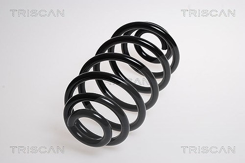 Triscan Fahrwerksfeder [Hersteller-Nr. 875015100] für Fiat