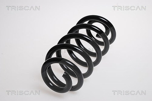 Triscan Fahrwerksfeder [Hersteller-Nr. 875029189] für Audi