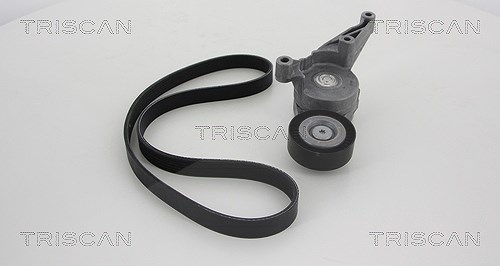 Triscan Keilrippenriemensatz [Hersteller-Nr. 864229001] für Audi, Ford, Skoda, VW, Seat