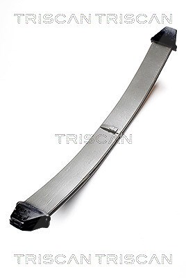 Triscan Federnpaket [Hersteller-Nr. 876523012] für VW, Mercedes-Benz