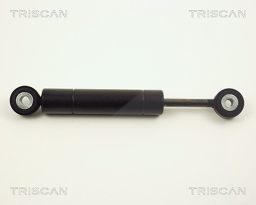 Triscan Schwingungsdämpfer, Keilrippenriemen [Hersteller-Nr. 87102313] für Daewoo, Puch, Ssangyong, Mercedes-Benz