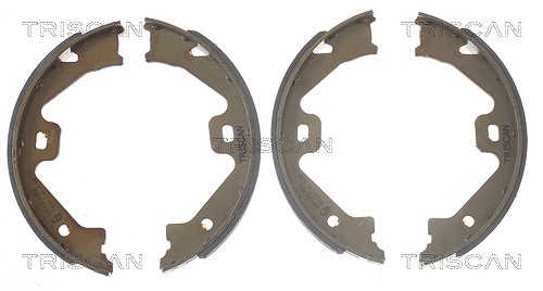 Triscan Bremsbackensatz, Feststellbremse [Hersteller-Nr. 810017011] für Mg, Rover