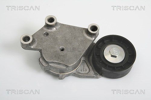 Triscan Spannarm, Keilrippenriemen [Hersteller-Nr. 8641103014] für Ford, Suzuki, Peugeot, Toyota, Mazda, Volvo, Citroën