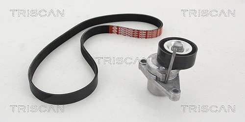 Triscan Keilrippenriemensatz [Hersteller-Nr. 864228005] für Peugeot, Citroën