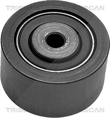 Triscan Umlenk-/Führungsrolle, Keilrippenriemen [Hersteller-Nr. 8641102003] für Peugeot, Citroën, Lancia, Suzuki, Fiat