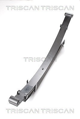 Triscan Fahrwerksfeder [Hersteller-Nr. 876542006] für Mitsubishi