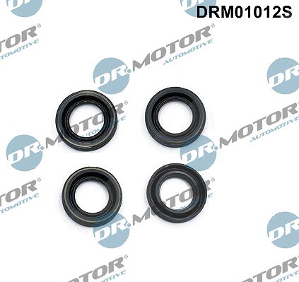 Dr.motor Automotive Dichtung, Düsenhalter [Hersteller-Nr. DRM01012S] für Opel, Chevrolet