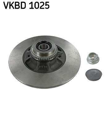 Skf 1x Bremsscheibe [Hersteller-Nr. VKBD1025] für Renault