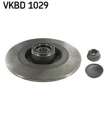 Skf 1x Bremsscheibe [Hersteller-Nr. VKBD1029] für Renault