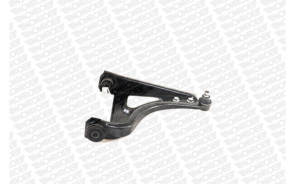 Monroe Lenker, Radaufhängung [Hersteller-Nr. L25507] für Renault