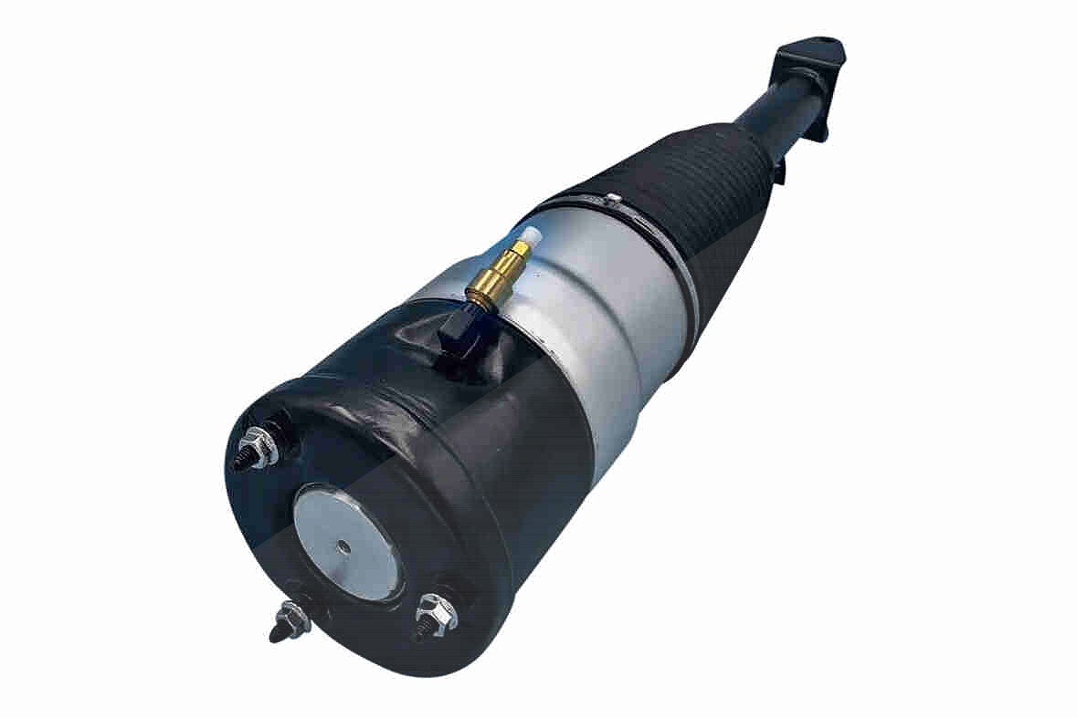 Vemo Luftfederbein [Hersteller-Nr. V58-50-0003] für Tesla