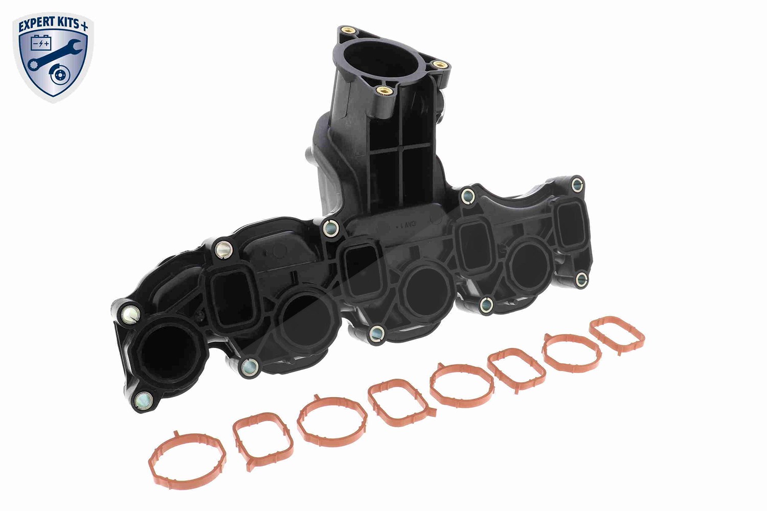 Vaico Saugrohrmodul [Hersteller-Nr. V10-6484] für VW, Skoda, Audi, Seat