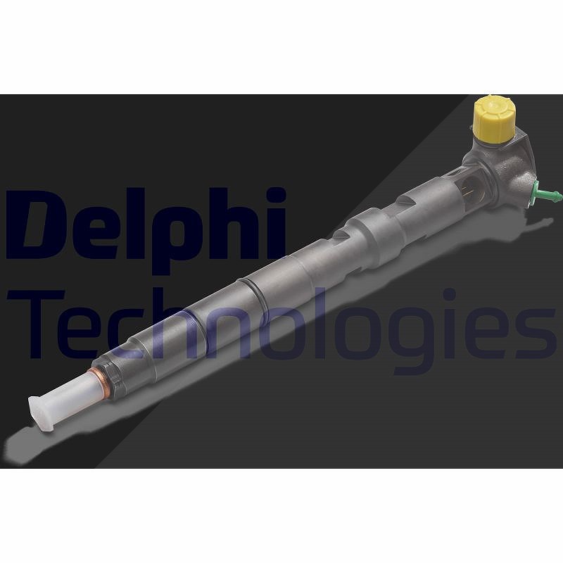 Delphi Düsenstock [Hersteller-Nr. R04401D] für Ssangyong