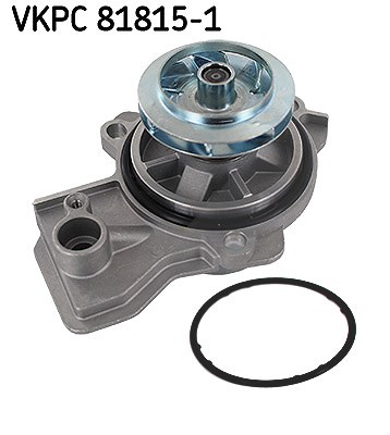 Skf Wasserpumpe [Hersteller-Nr. VKPC81815-1] für Audi, Skoda