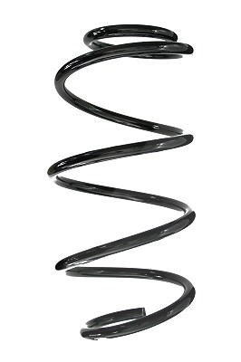 Spidan Fahrwerksfeder [Hersteller-Nr. 87259] für Kia, Hyundai