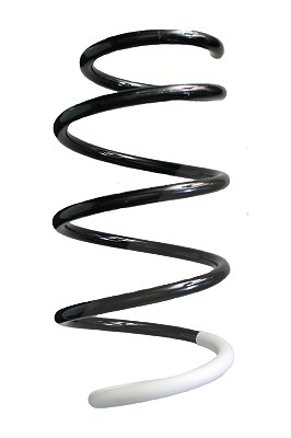 Spidan Fahrwerksfeder [Hersteller-Nr. 86552] für Renault