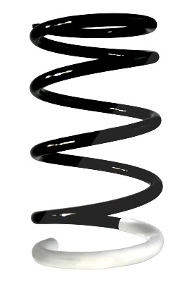 Spidan Fahrwerksfeder [Hersteller-Nr. 87118] für Toyota