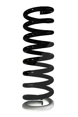 Spidan Fahrwerksfeder [Hersteller-Nr. 85975] für Nissan