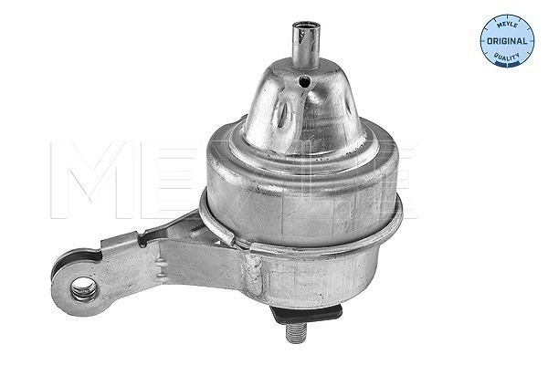 Meyle Lagerung, Motor [Hersteller-Nr. 3002212001] für Mini