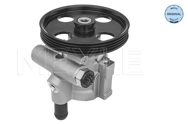 Meyle Hydraulikpumpe, Lenkung [Hersteller-Nr. 16-166310003] für Renault, Dacia