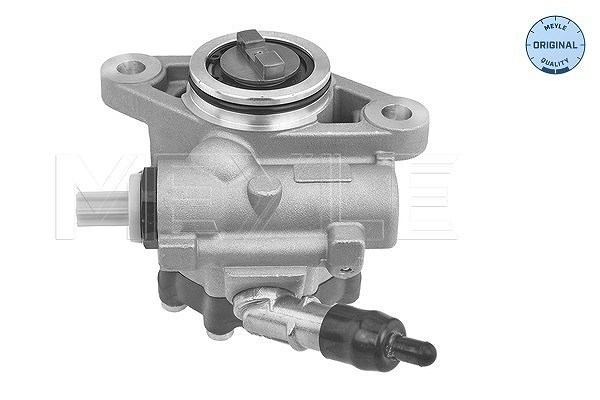Meyle Hydraulikpumpe, Lenkung [Hersteller-Nr. 2146310005] für Fiat