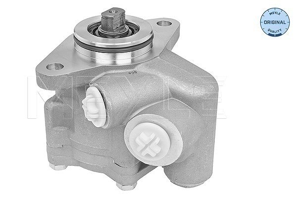 Meyle Hydraulikpumpe, Lenkung [Hersteller-Nr. 2146310003] für Fiat