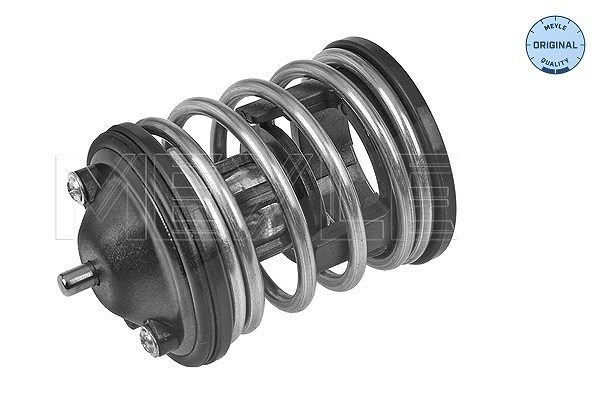 Meyle Thermostat, Kühlmittel [Hersteller-Nr. 3282280010] für Mini, BMW, Toyota