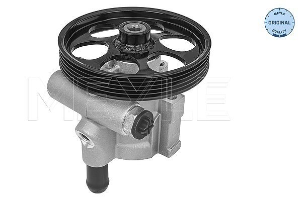 Meyle Hydraulikpumpe, Lenkung [Hersteller-Nr. 16-166310002] für Opel, Renault, Nissan