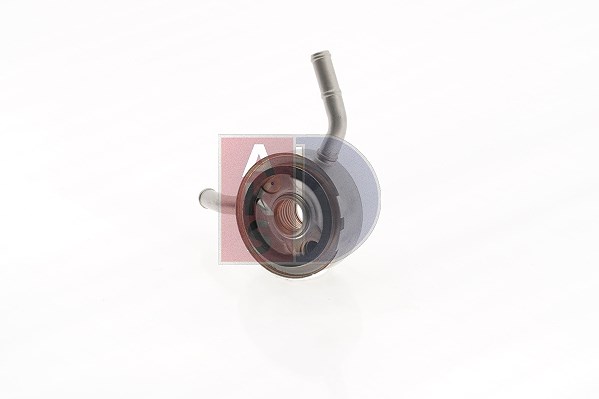 Aks Dasis Ölkühler, Motoröl [Hersteller-Nr. 076007N] für Nissan