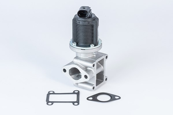 Borgwarner AGR-Ventil [Hersteller-Nr. 710837D] für Cadillac, Fiat, Saab, Opel, Alfa Romeo, Lancia, Vauxhall