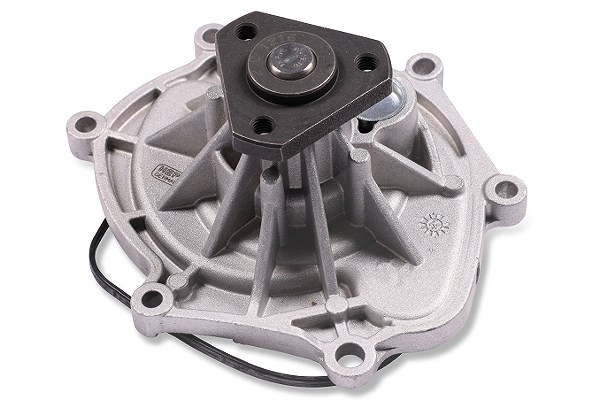 Für HEPU POMPY WODY P692 WATER PUMP - Bild 4