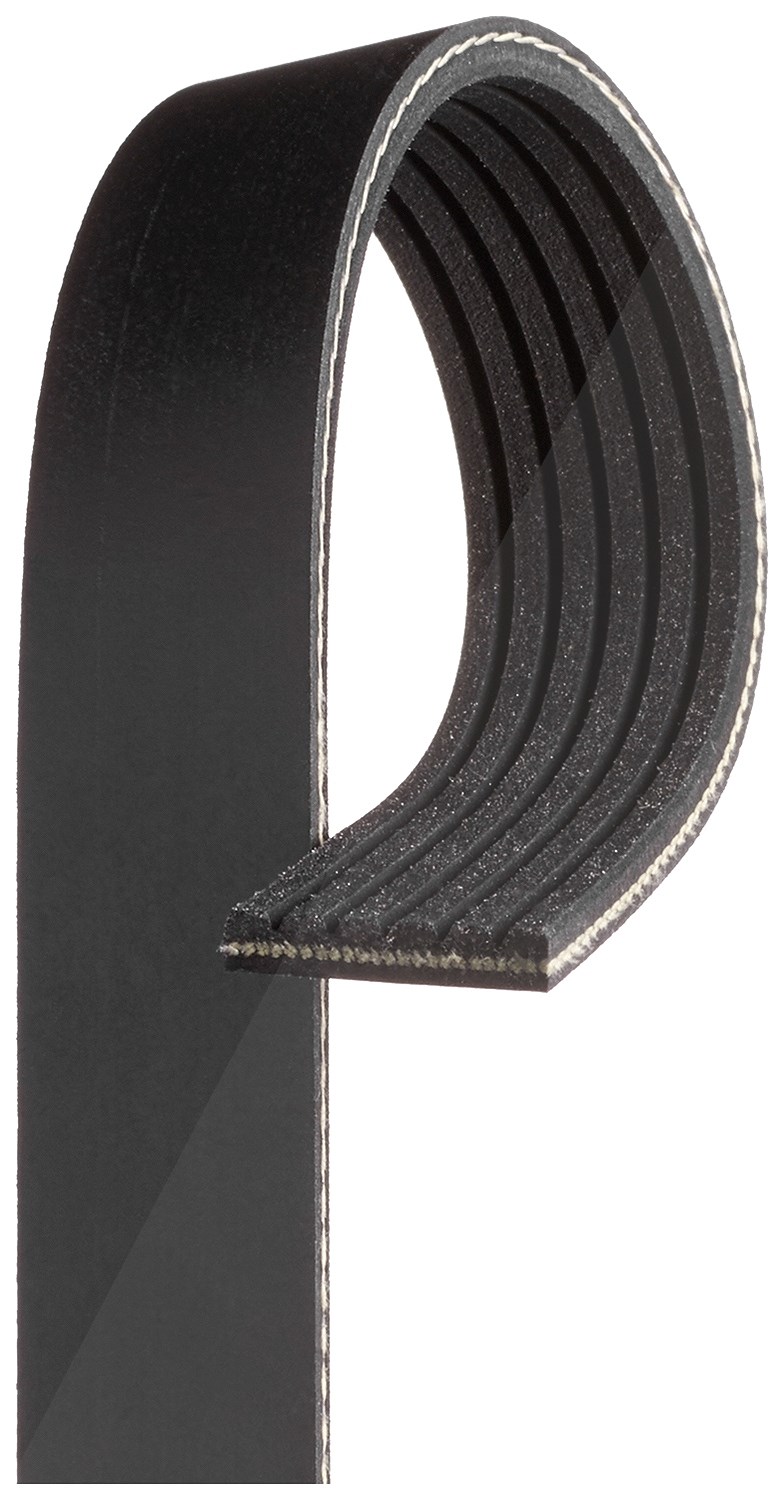 Gates Keilrippenriemen [Hersteller-Nr. 6PK1545] für Honda