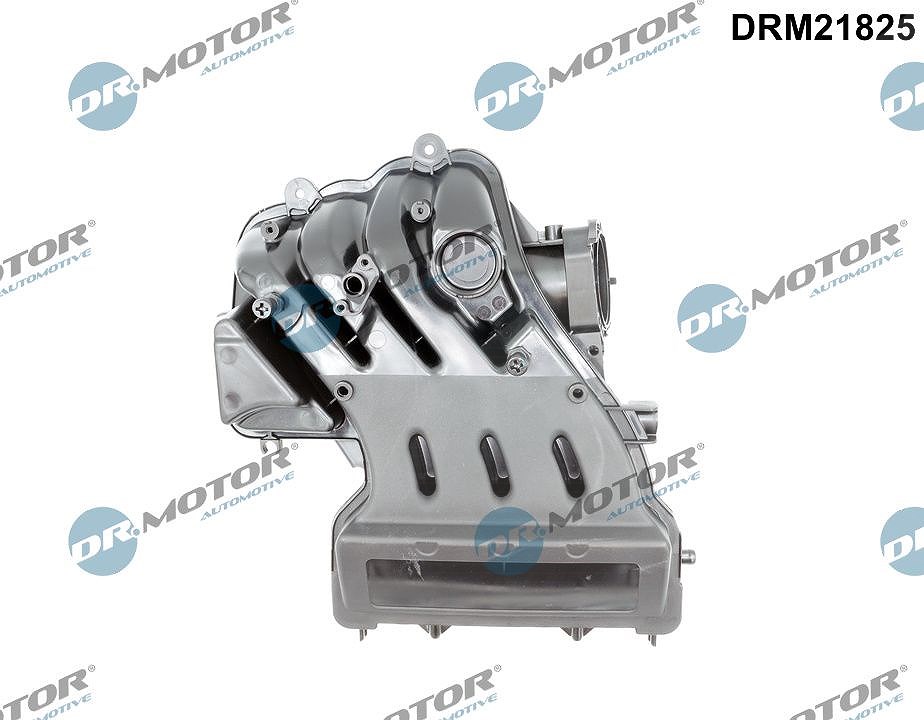 DR.MOTOR AUTOMOTIVE Ansaugbrücke DRM21825 | DRM21825 passend für A3 Altea Leon Toledo - Bild 4