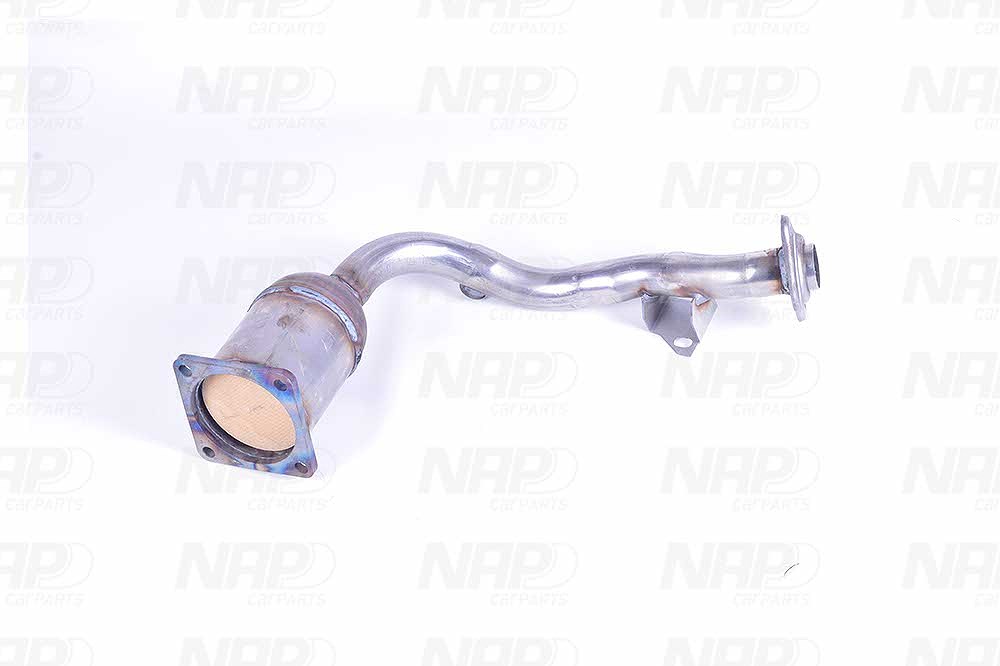 Nap Carparts Katalysator [Hersteller-Nr. CAK10118] für Peugeot, Citroën