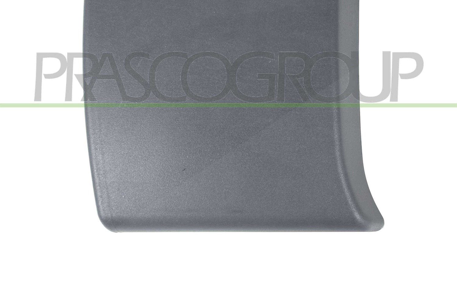 Prasco Zier-/Schutzleiste, Tür [Hersteller-Nr. DS9521415] für Nissan