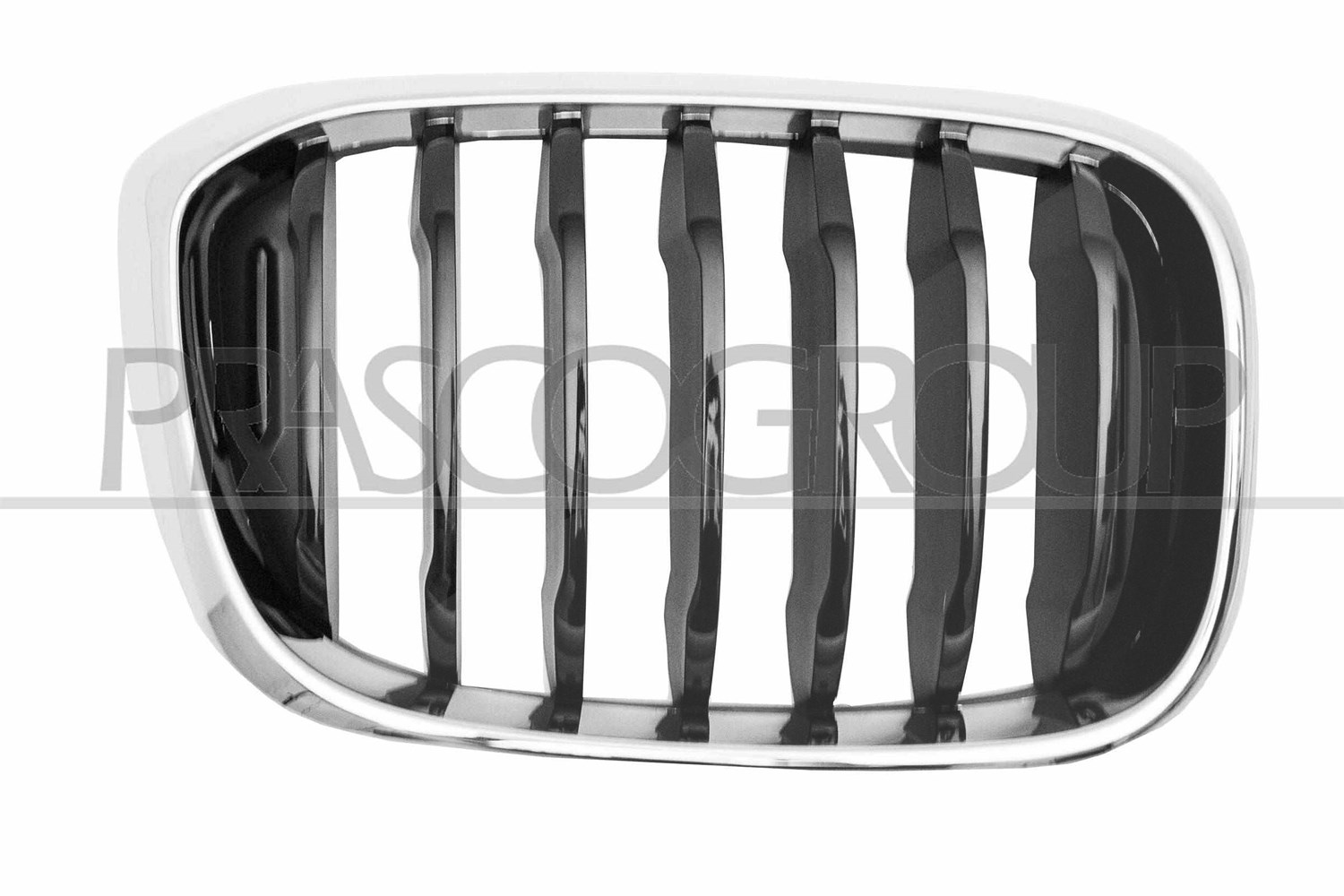Prasco Kühlergitter [Hersteller-Nr. BM8082003] für BMW