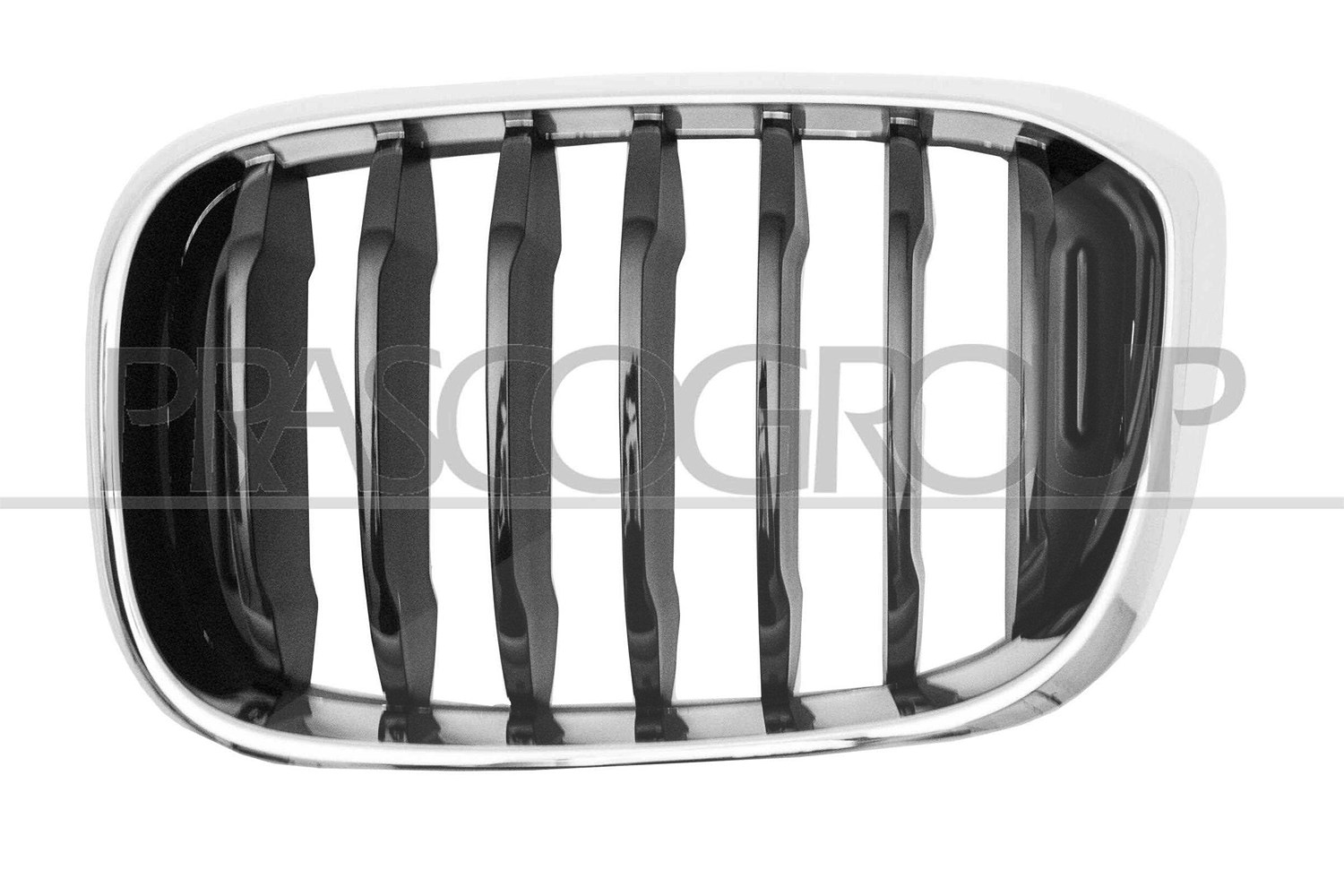 Prasco Kühlergitter [Hersteller-Nr. BM8082004] für BMW