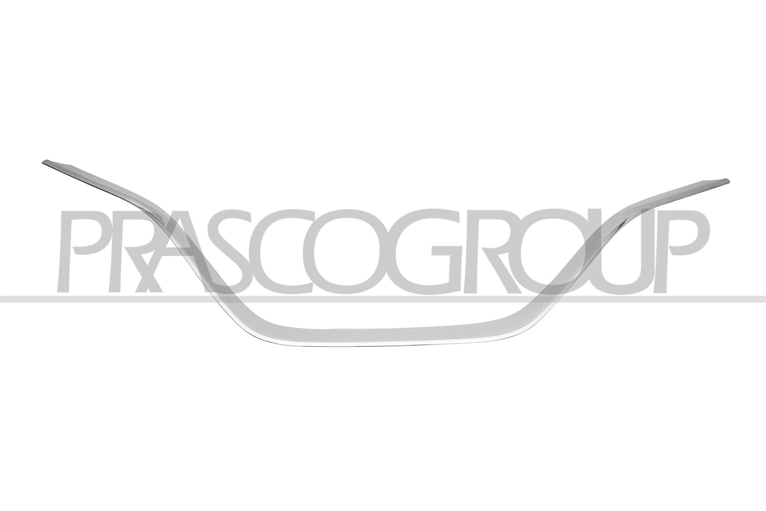 Prasco Zier-/Schutzleiste, Kühlergitter [Hersteller-Nr. RN7502305] für Renault